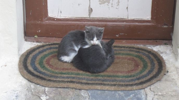 zX6Ee6cBwbaefWNmwPTRB1q49UfeiESpyc6JruY6AY0